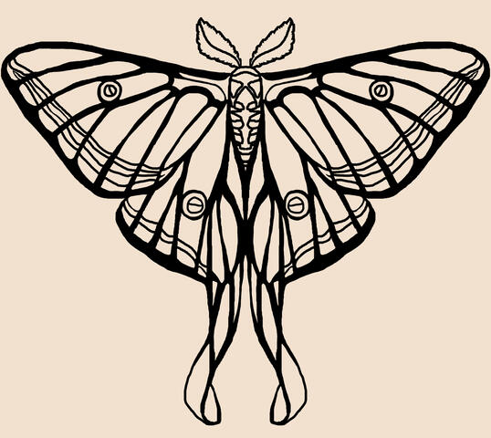 Luna Moth (Tattoo)